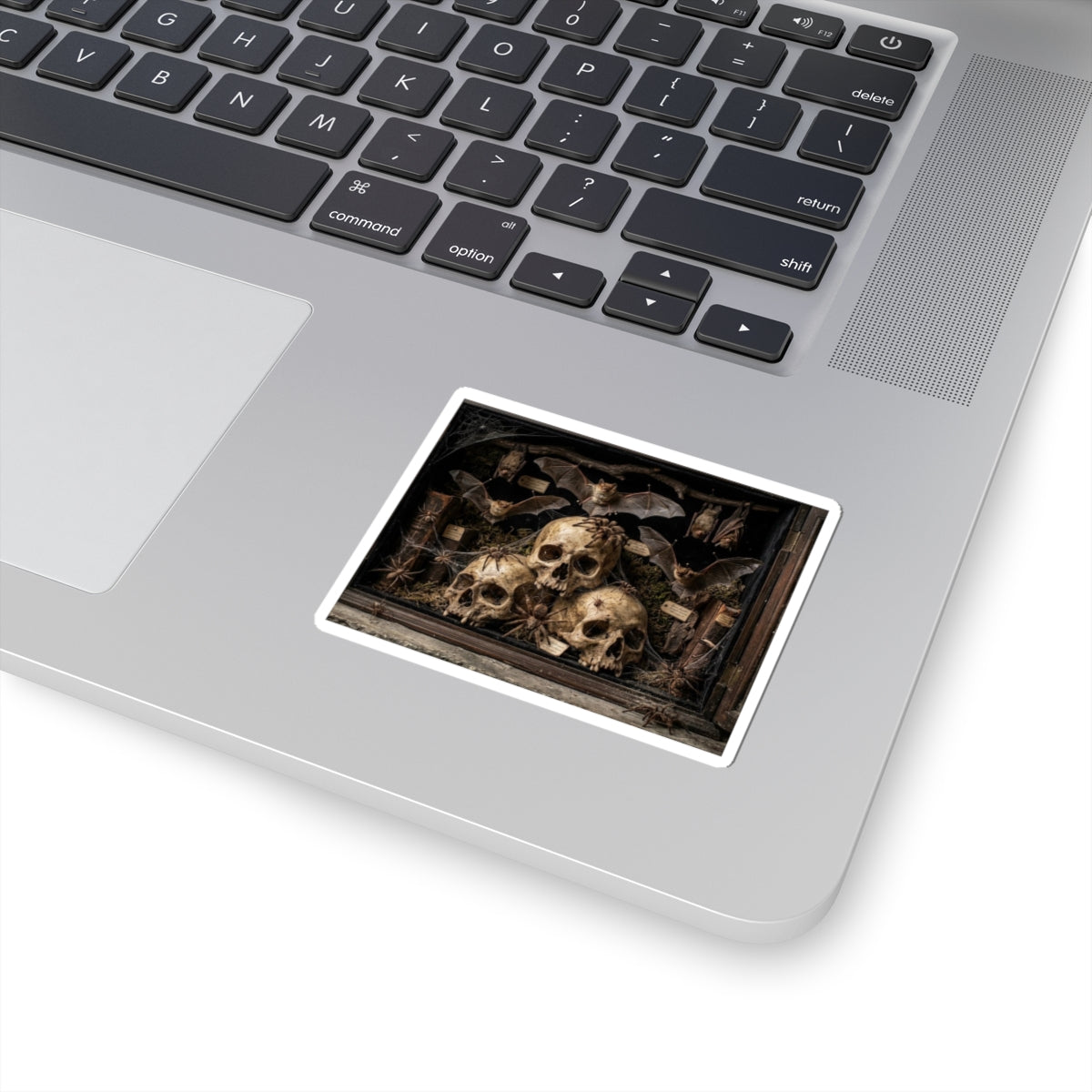 Kiss-Cut Stickers