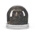 Snow Globe
